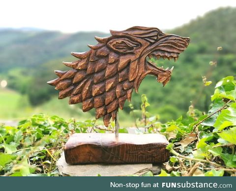 I'm 33 and taking up a new hobby. Made this as my first woodwork project