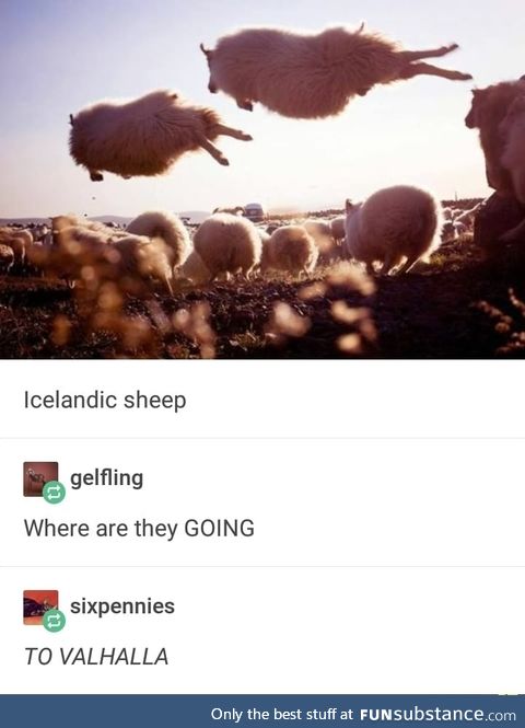 Yeet