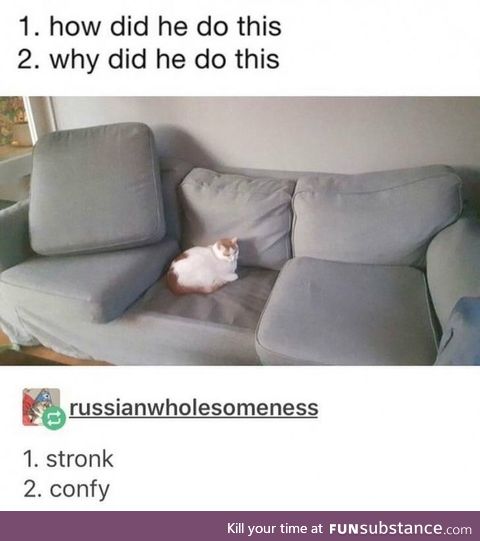 Stronk