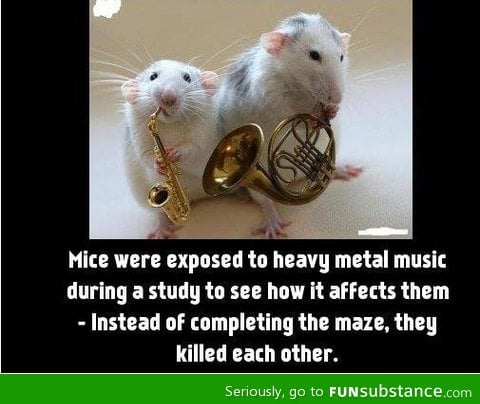 Heavy metal music is bad