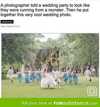 Coolest wedding photo ever