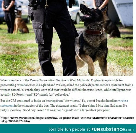 Police dog success, narrated to perfection