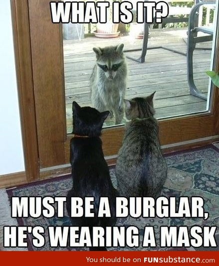 Must be a burglar