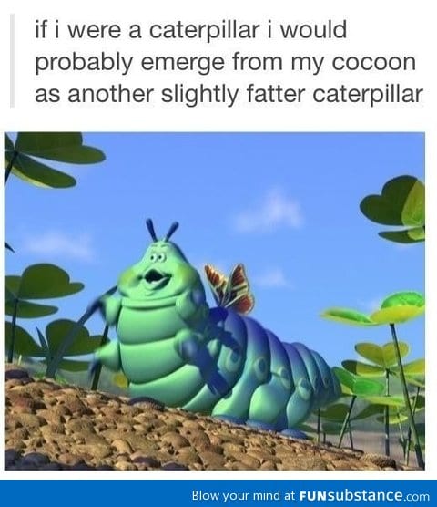 If I was a caterpillar