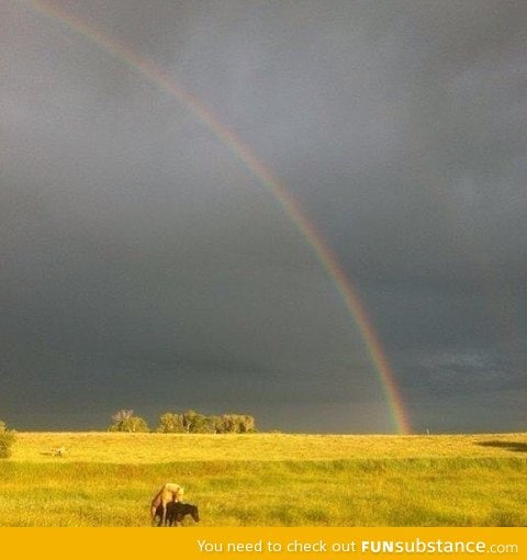 Sooomewhere... Under the rainbow