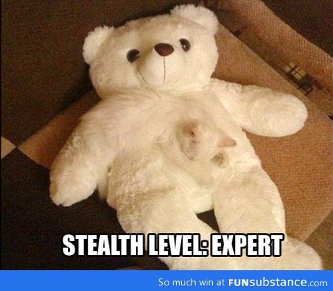 Stealth level: Expert