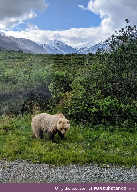 A reminder, from somewhere deep in Alaska, that we’re just tourists on Earth!!