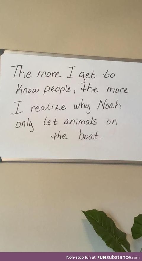 Noah figured it out