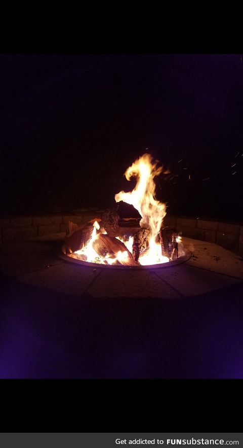 My fire gave birth to a horse