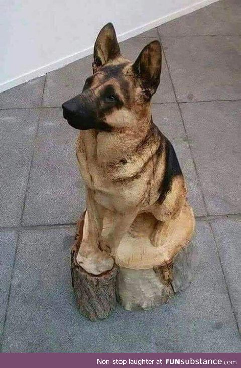 Carved from a tree trunk