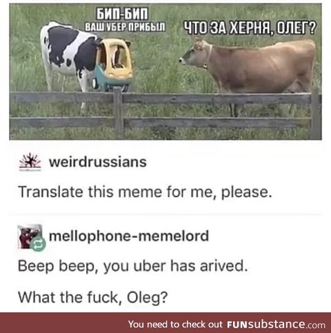 What the *** Oleg