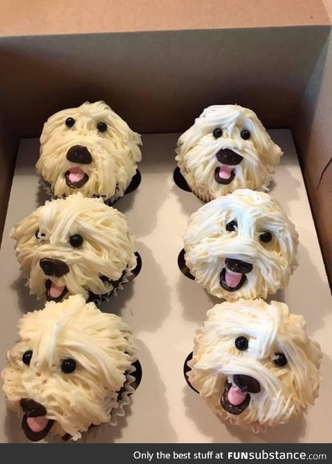 Pup cakes