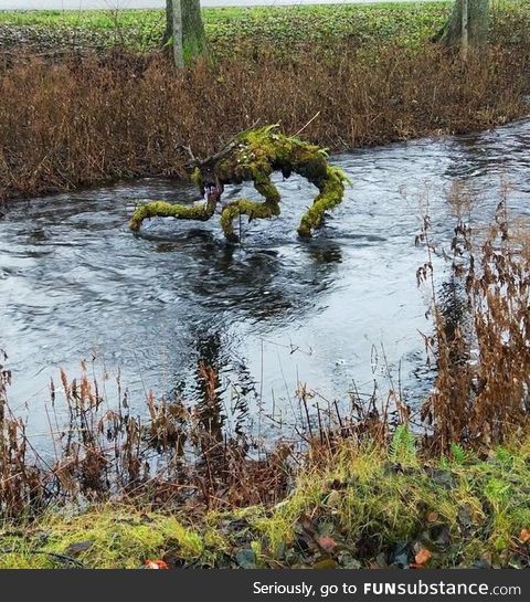 1 out of 3 swamp creatures made by a sculptor
