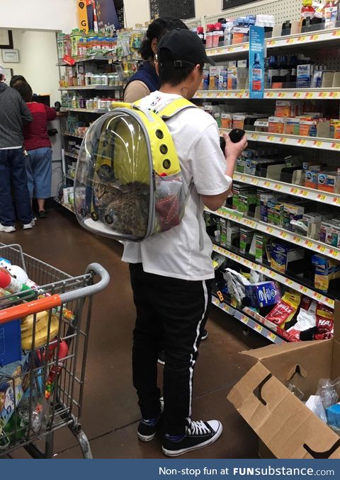 My brother’s cat carrying backpack