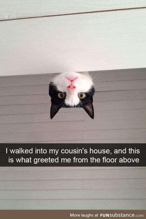Greetings