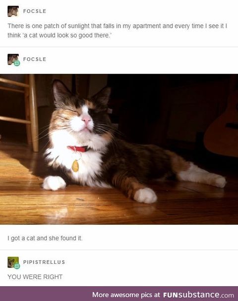 *looks at lap and thinks the same thing*