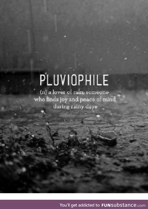 Pluviophile. It's a rainy day here and I love it