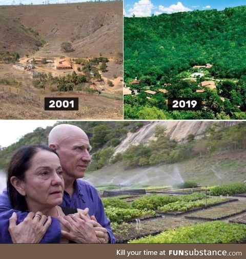 This couple planted over 2million trees to regrow a forest in 20years