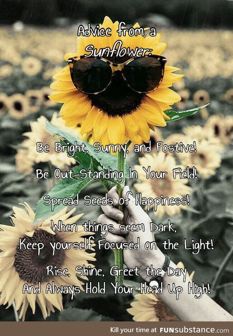 Sunflowers give the best advice
