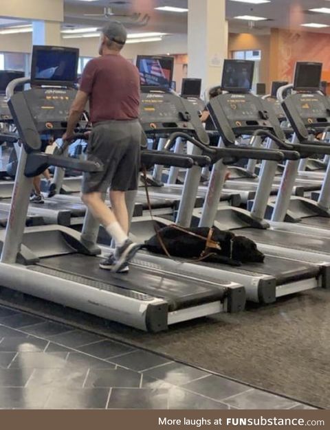 Blind man working out. If he wanted to change machines, his dog would go get staffs