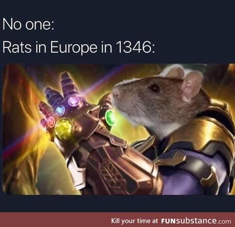 The rat snap (1346)