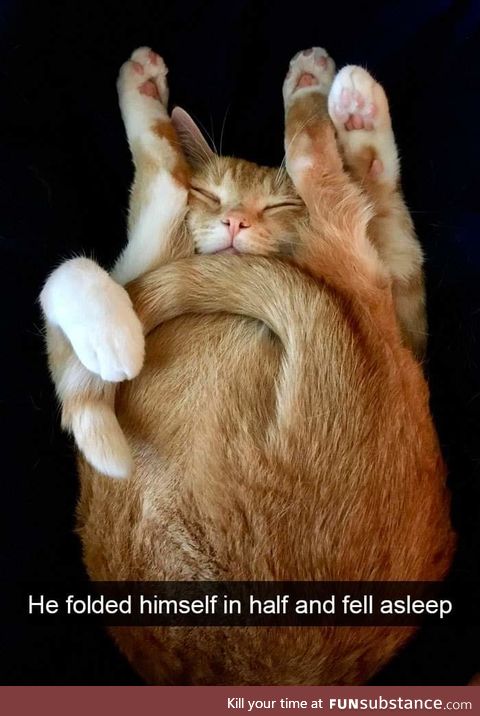 Pretzel
