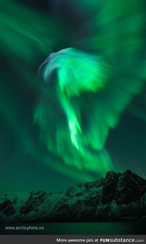 Eagle Aurora over Norway