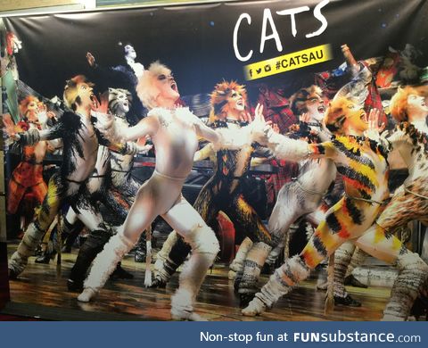 What the Cats movie could have and should have looked like (I took this photo a while back