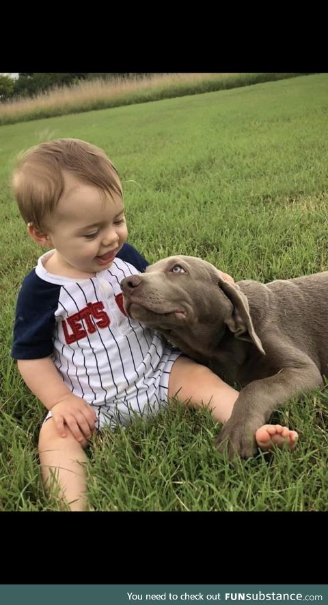 The way this puppy is looking at this baby
