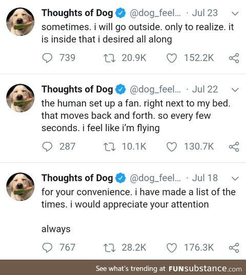 This account is a treasure