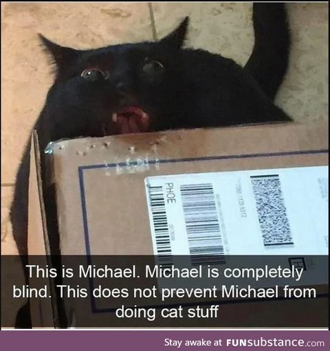 Say hello to Michael