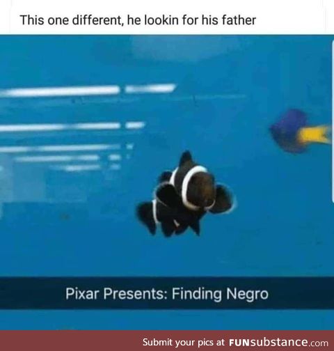 He left to get some corals, ain't seen him since