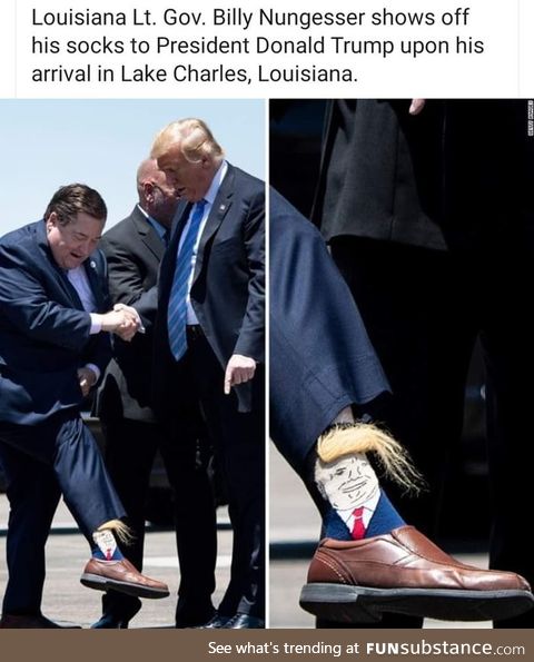 Trump socks