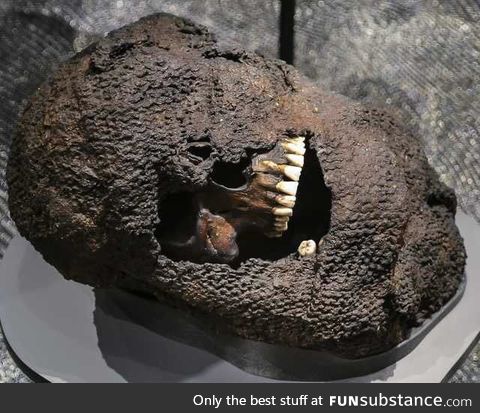 Skull still in chainmail from Battle of Visby, 1361