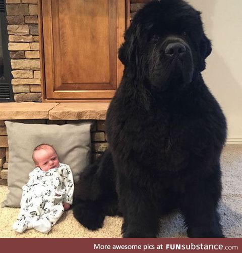Mom, who let this bear in the house?