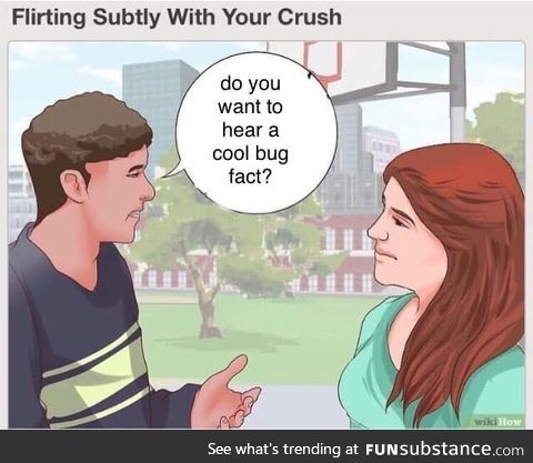 Cool bug facts