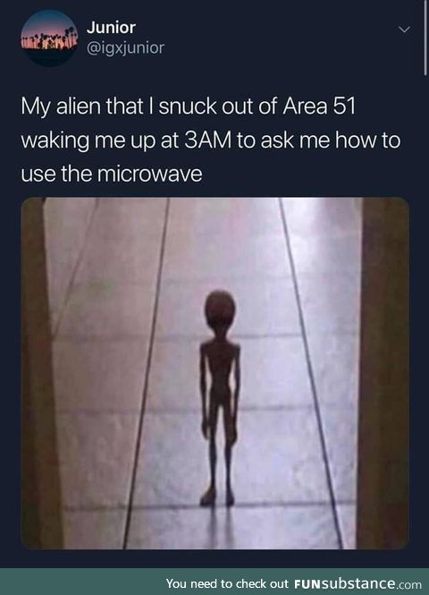 "please assist me adoptive life forms"