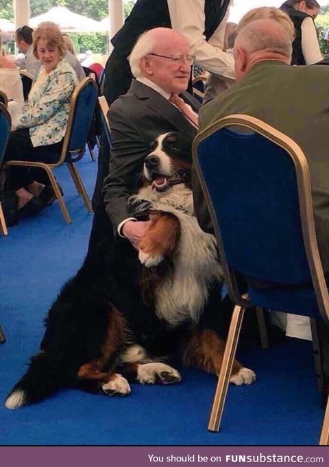 The President of Ireland with his Bernese Mountain dog Shadow