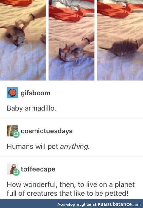 Pet everything