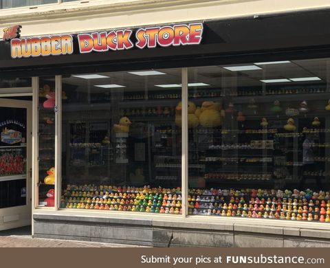 The Rubber Duck Store, Amsterdam. Yup, that's really a thing
