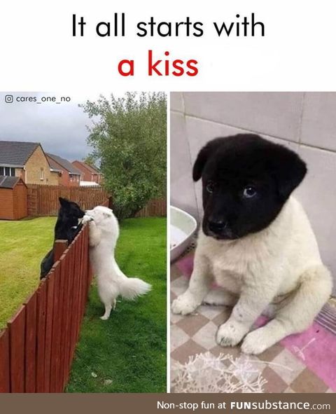 It all starts with a kiss