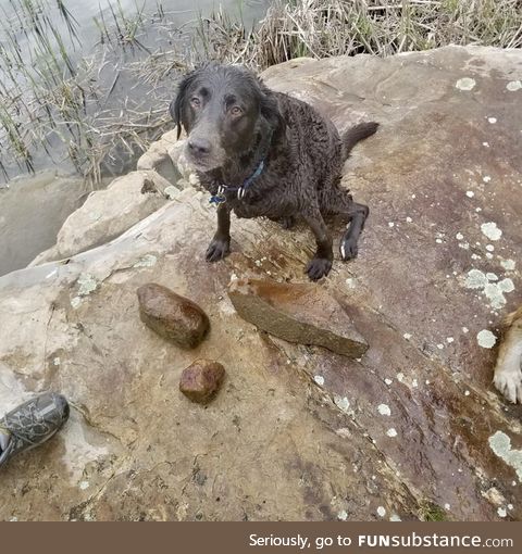 She thinks it's her job to pull rocks out of the lake. The big one is 14lbs