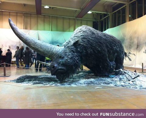 This is an Elasmotherium ('Thin Plate Beast'), a genus of Rhinoceros that