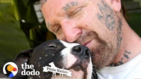 Guy dedicated to saving condemned Pit Bulls