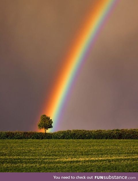 Found the Pot of Gold !