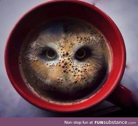 After having two hula hoop crisps dropped in it, this coffee looks like an owl