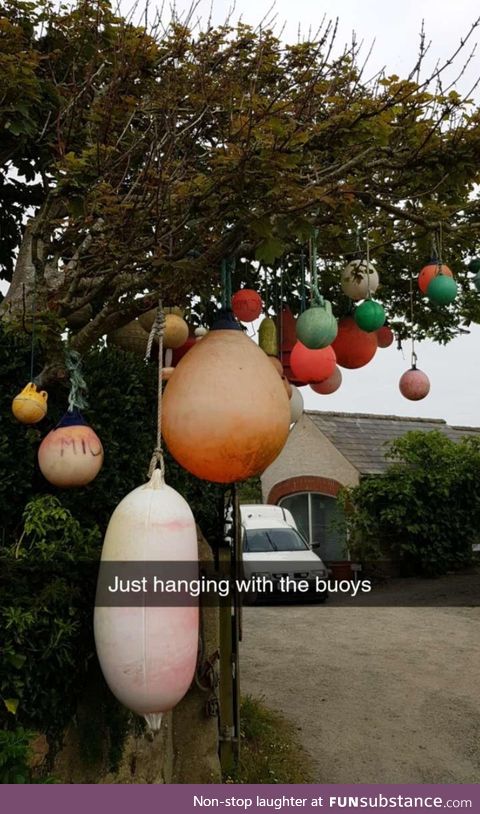 Hanging with the buoys