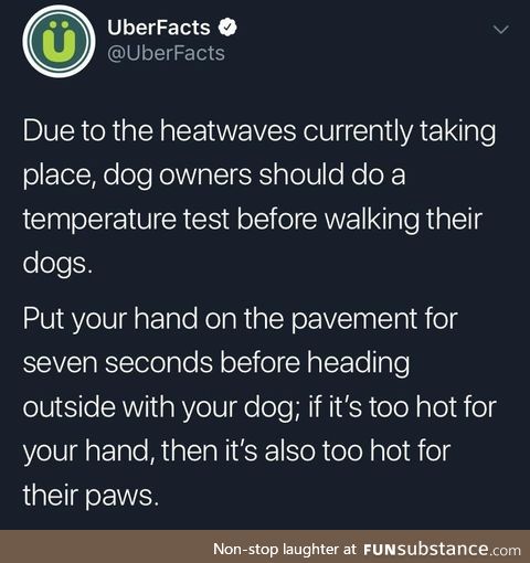 PSA Please protect pupper paws