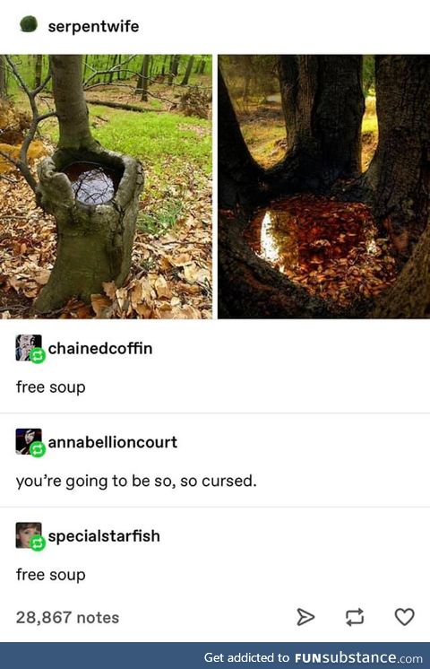Free soup