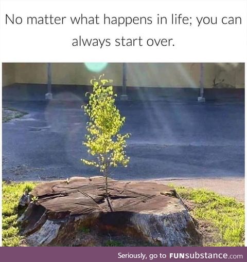 Don’t give up !